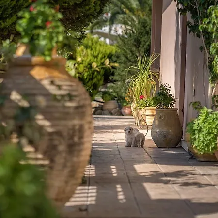 Athena's - Ideal For Large Groups, By Zantewize Tsilivi (Zakynthos)