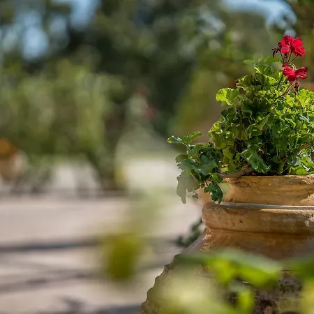 Athena's - Ideal For Large Groups, By Zantewize Casa vacanze *